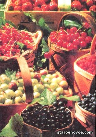 ягоды для варенья
